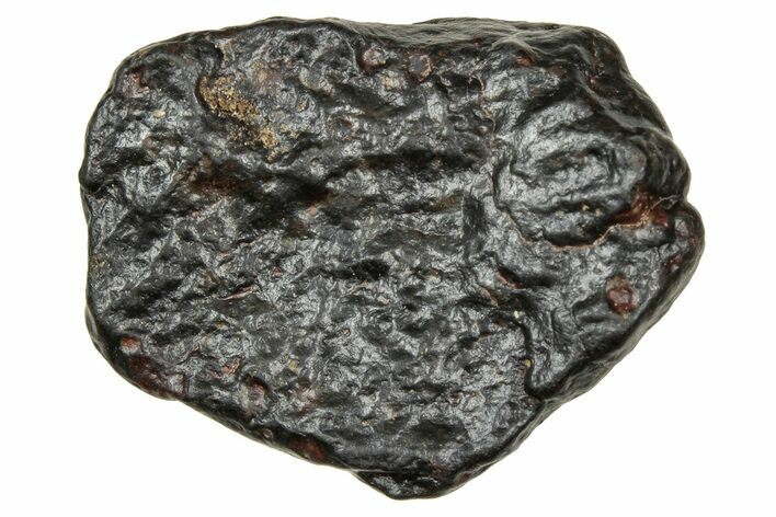 Carbonaceous Chondrite Meteorite ( g) - NWA #334341